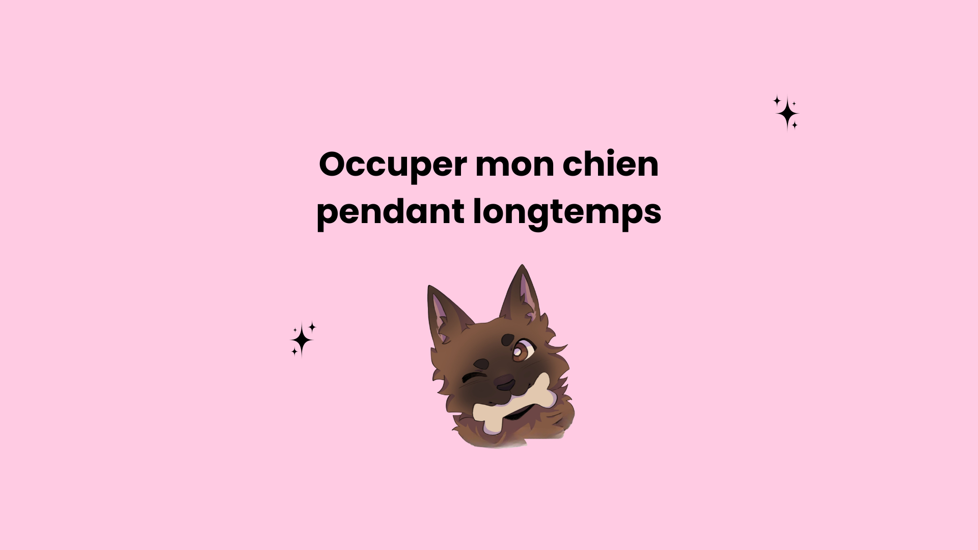 Découvre nos mastications longue durée - pour un chien qui se régalera pendant un bon moment 🦴