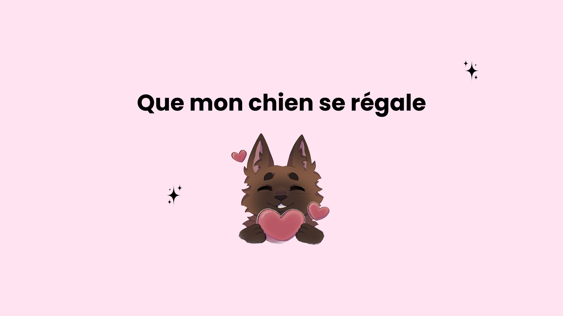 Découvre nos mastications appétentes -  pour un chien qui se régale et teste de nouvelles saveurs 😋