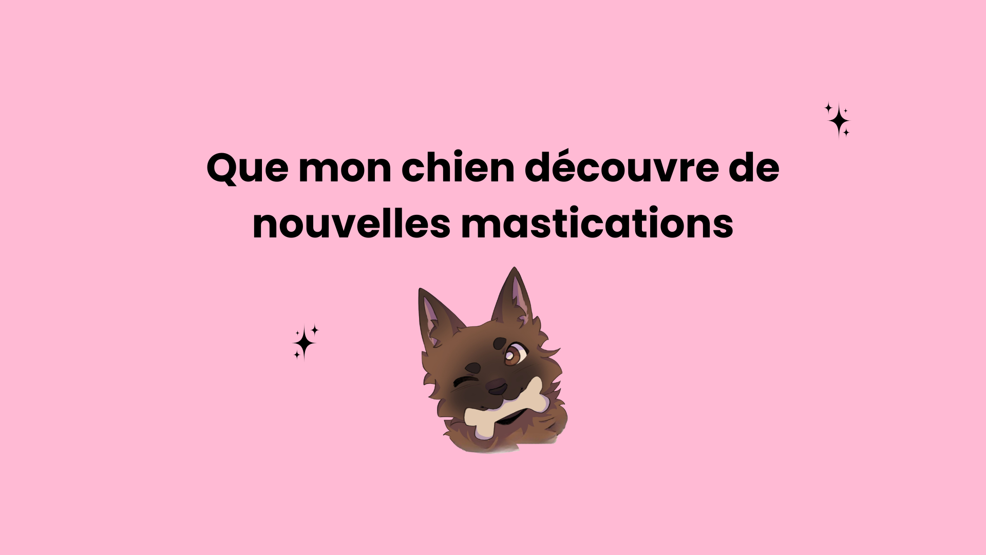 Découvre nos mastications exotiques - pour faire découvrir de nouvelles saveurs originales à ton chien et varier les plaisirs 🐶