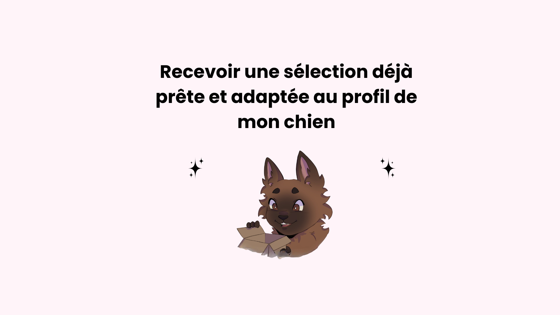 Découvre nos boxs de mastication - Pour recevoir LA sélection adaptée à ton chien sans faire d'erreur 📦