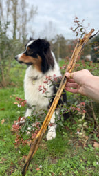 Barre de peau de lapin 50/60 cm