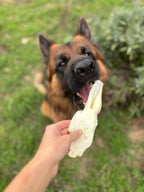 Oreille de lapin soufflée