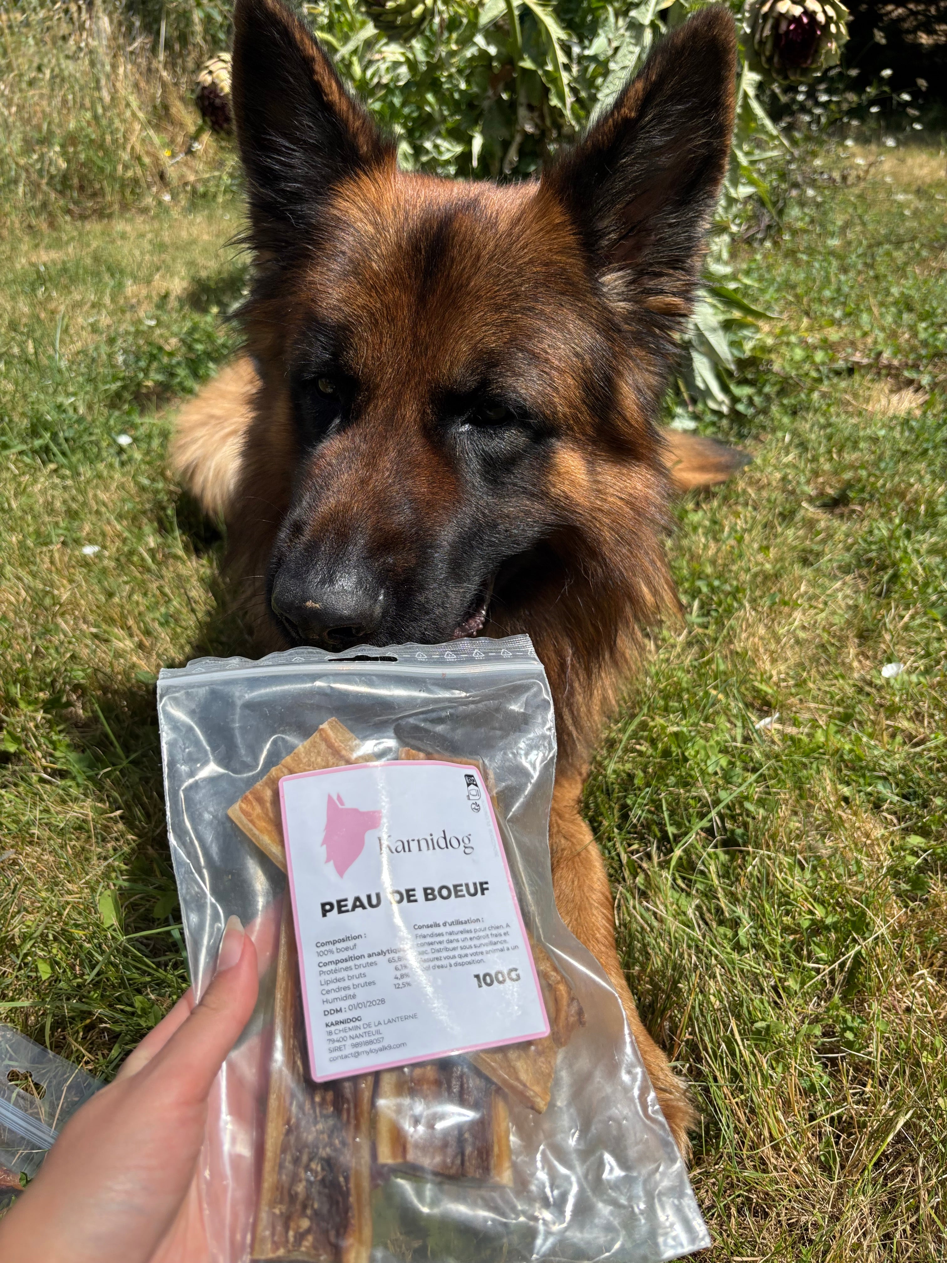 Peau de boeuf 15cm (100g - 3 pièces)