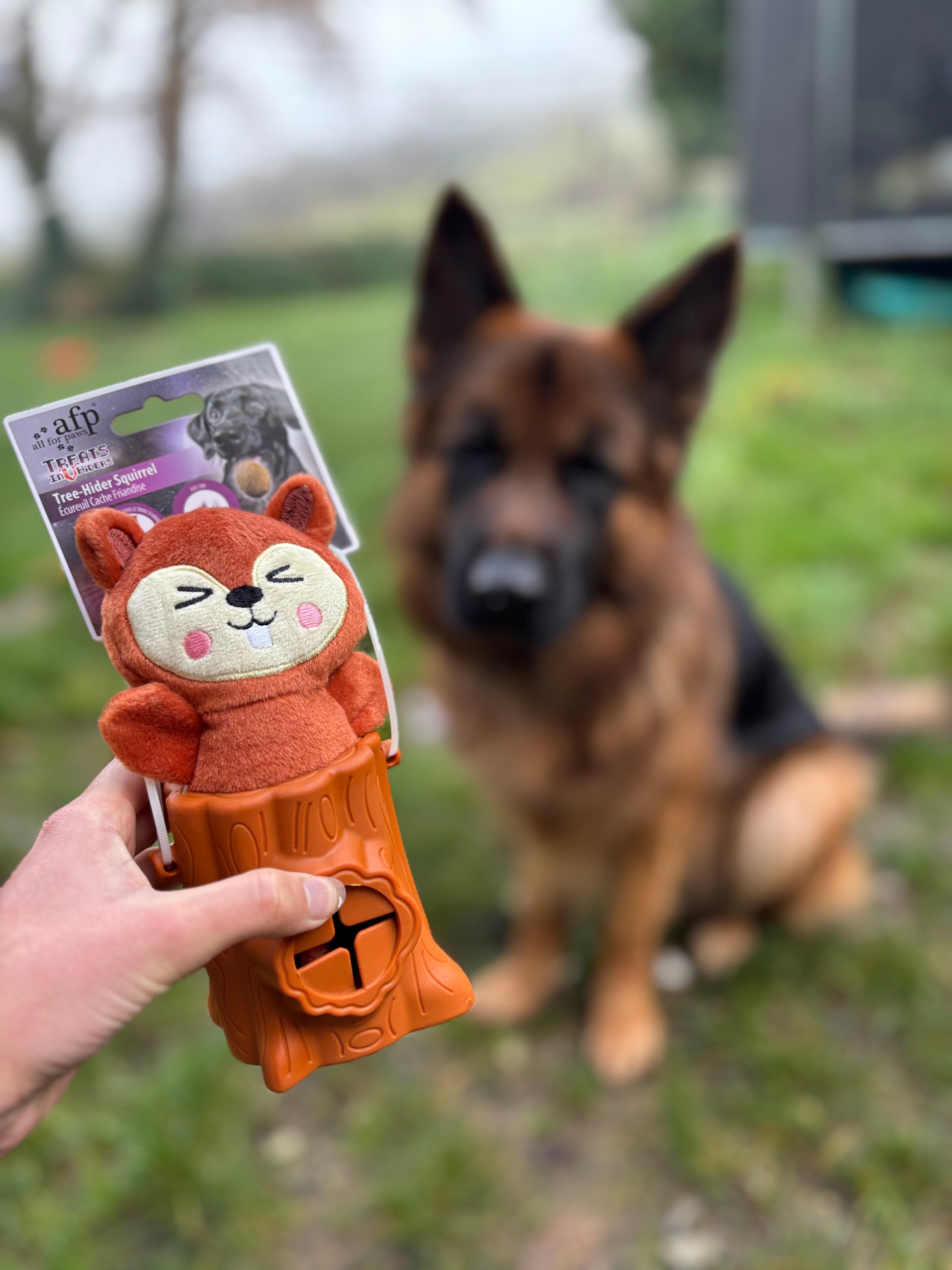 Peluche de fouille écureuil 🐿️