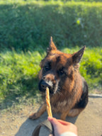 Tresse de peau de chèvre