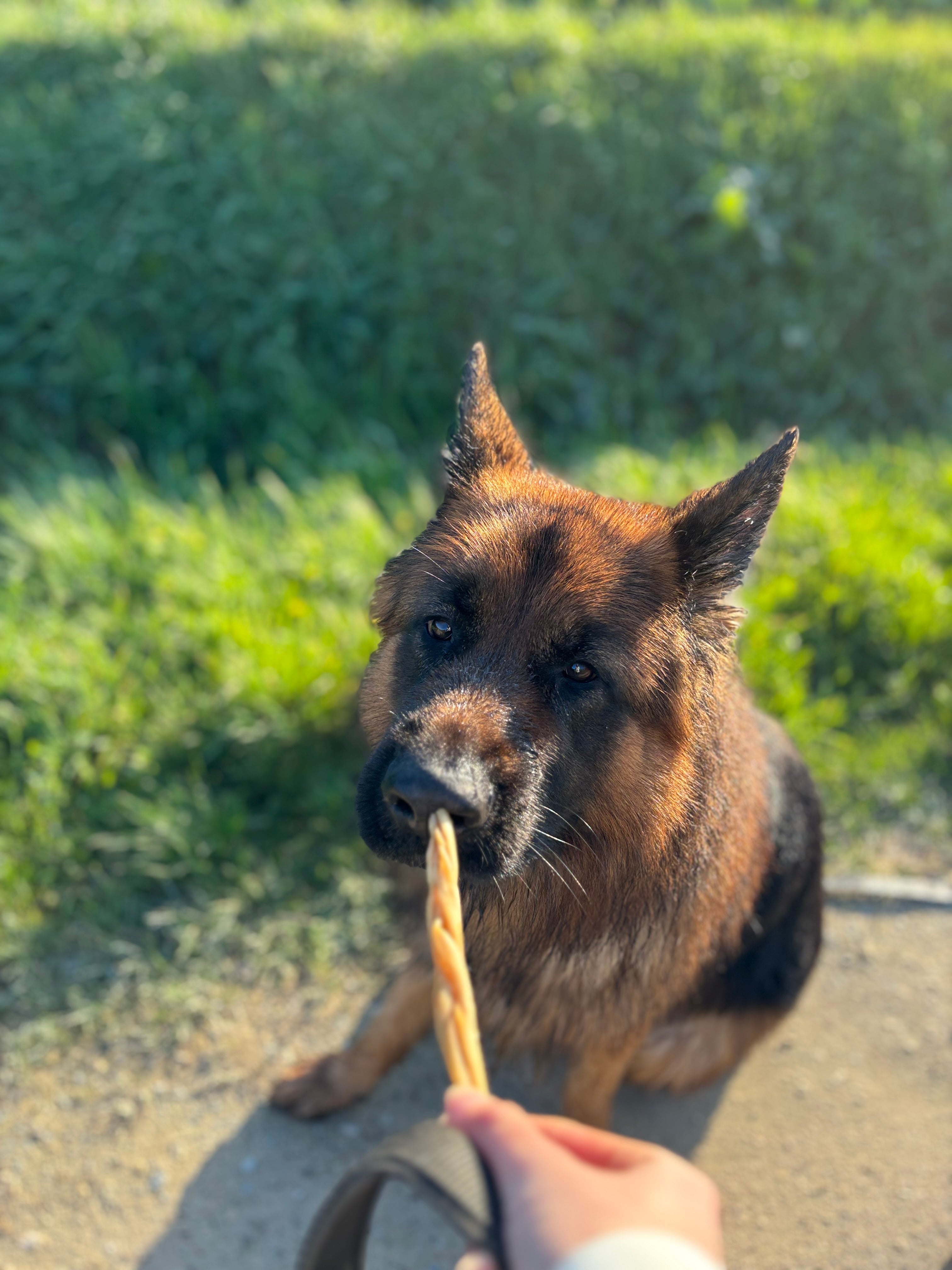 Tresse de peau de chèvre