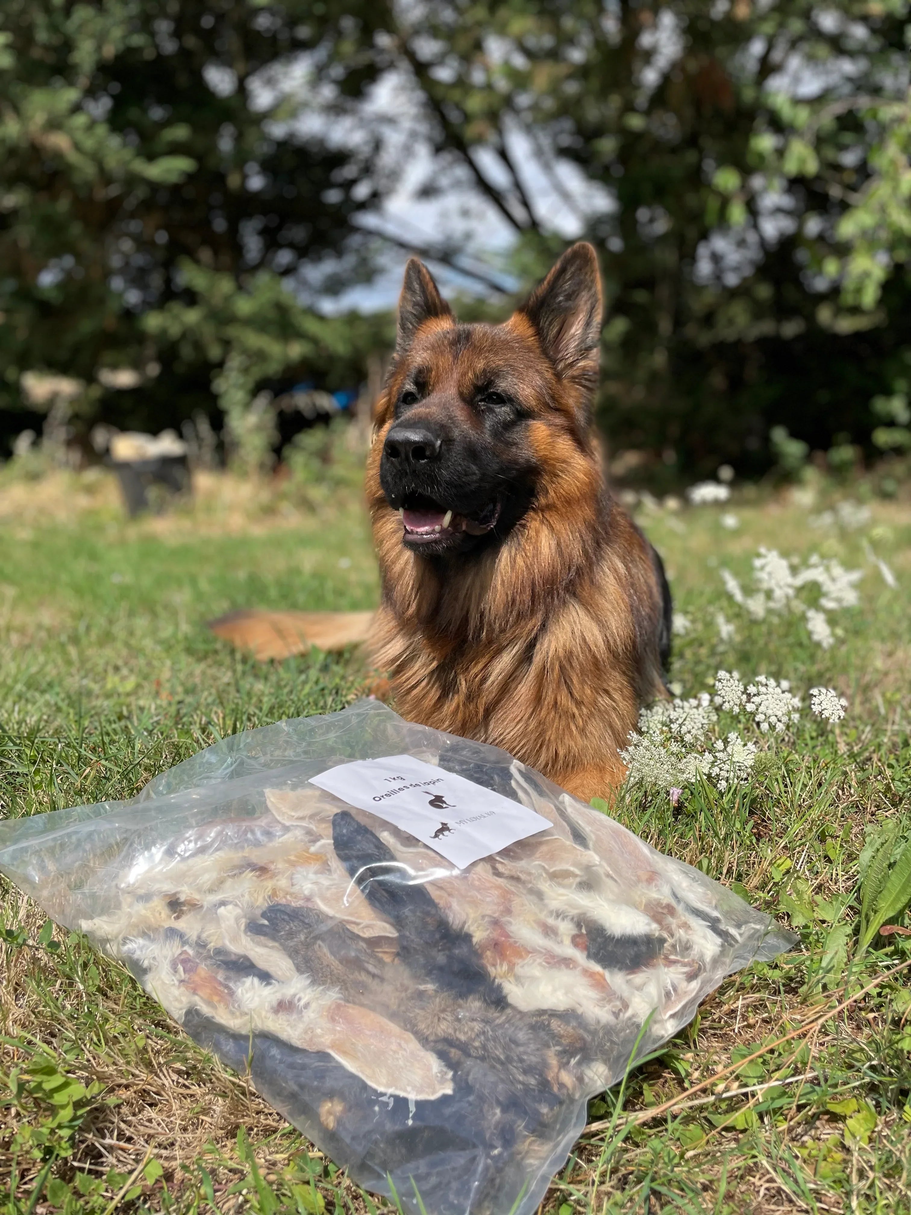 VENTE AU KILO : Oreilles de lapin avec poils