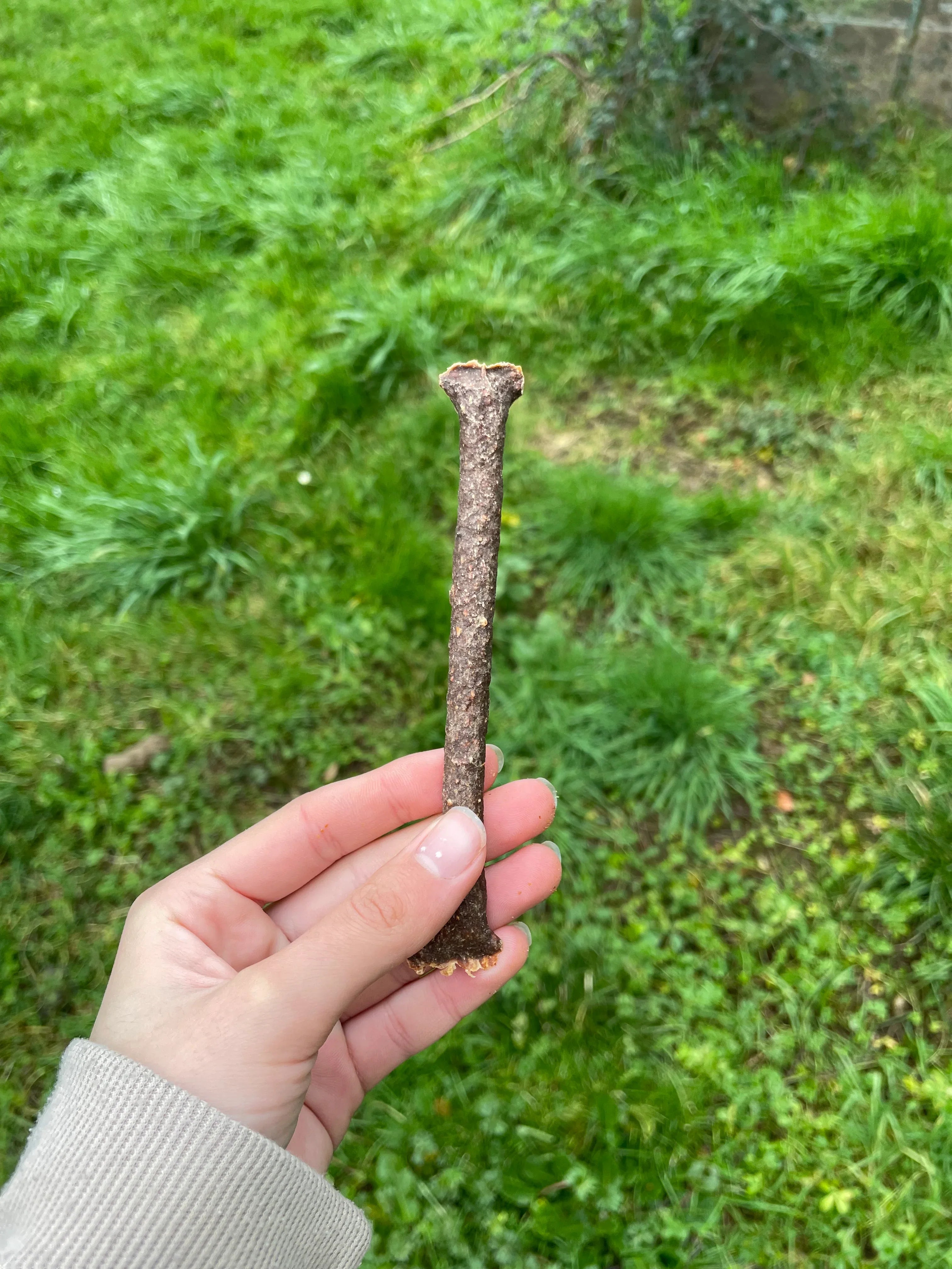 Stick de kangourou