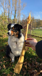 Peau de cerf XL 60 cm