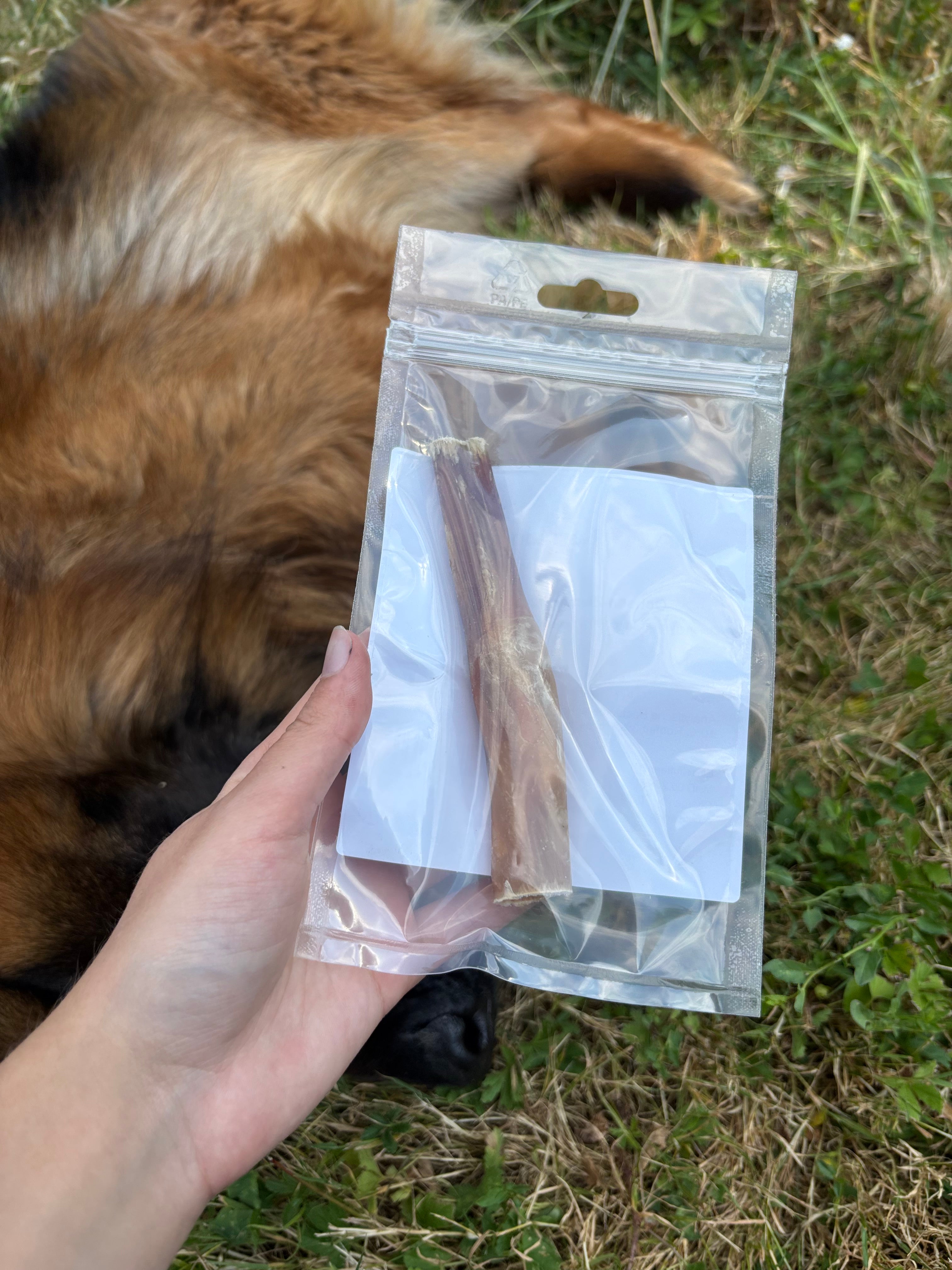 Nerf de bœuf 12cm