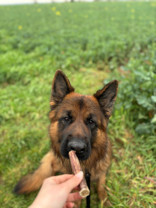 Rouleau de bœuf et lapin