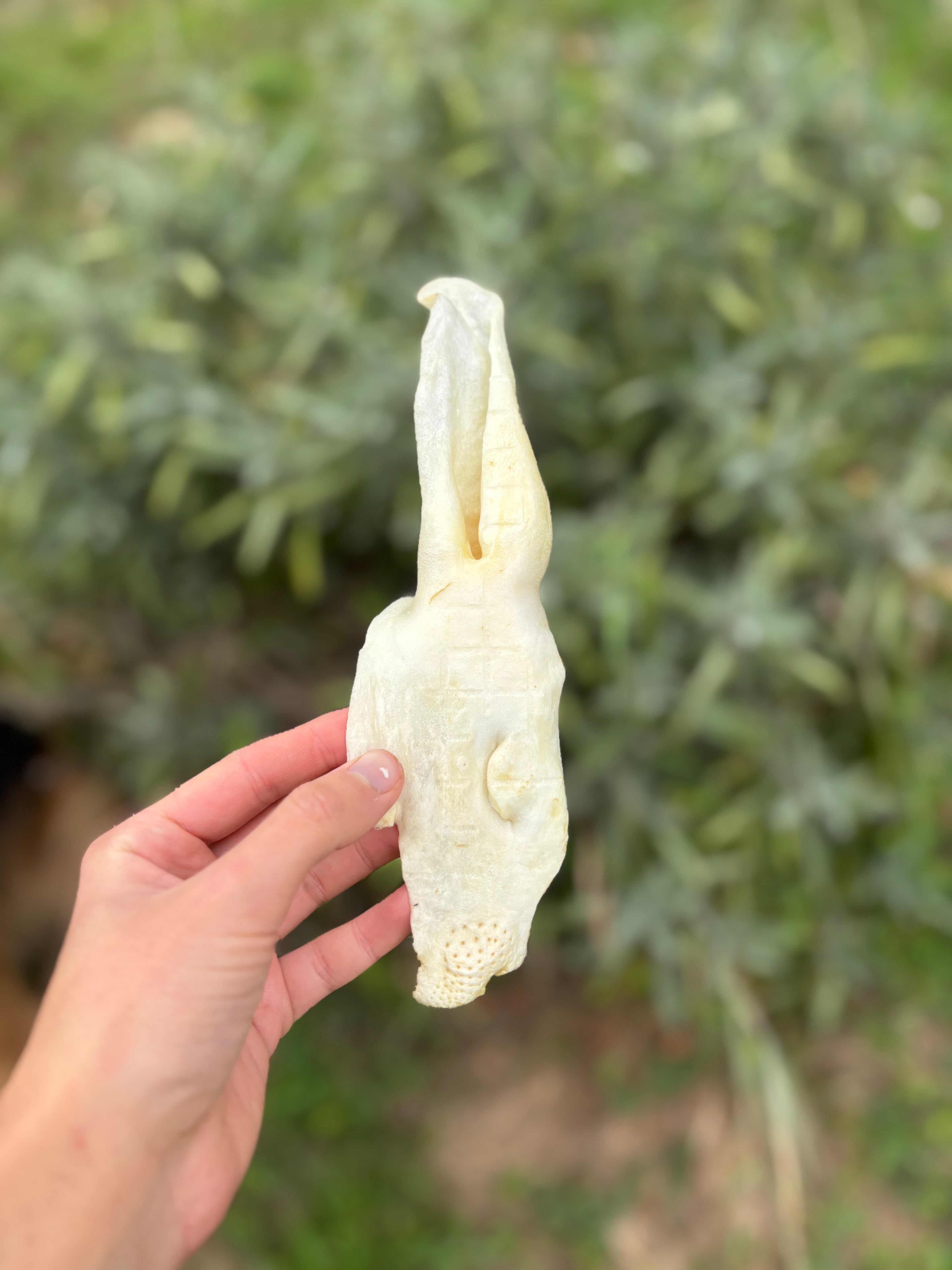 Oreilles de lapin soufflées (100g - 10 pièces)