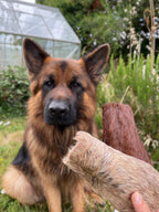 Plaque de peau de cheval avec poils XL