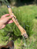 Patte de cerf avec poils