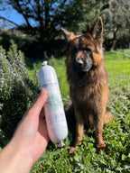 Saucisse au saumon (200g)