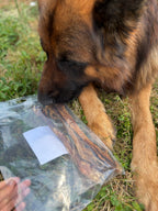 Tendons d’Achille de buffle (100g - 3 pièces)