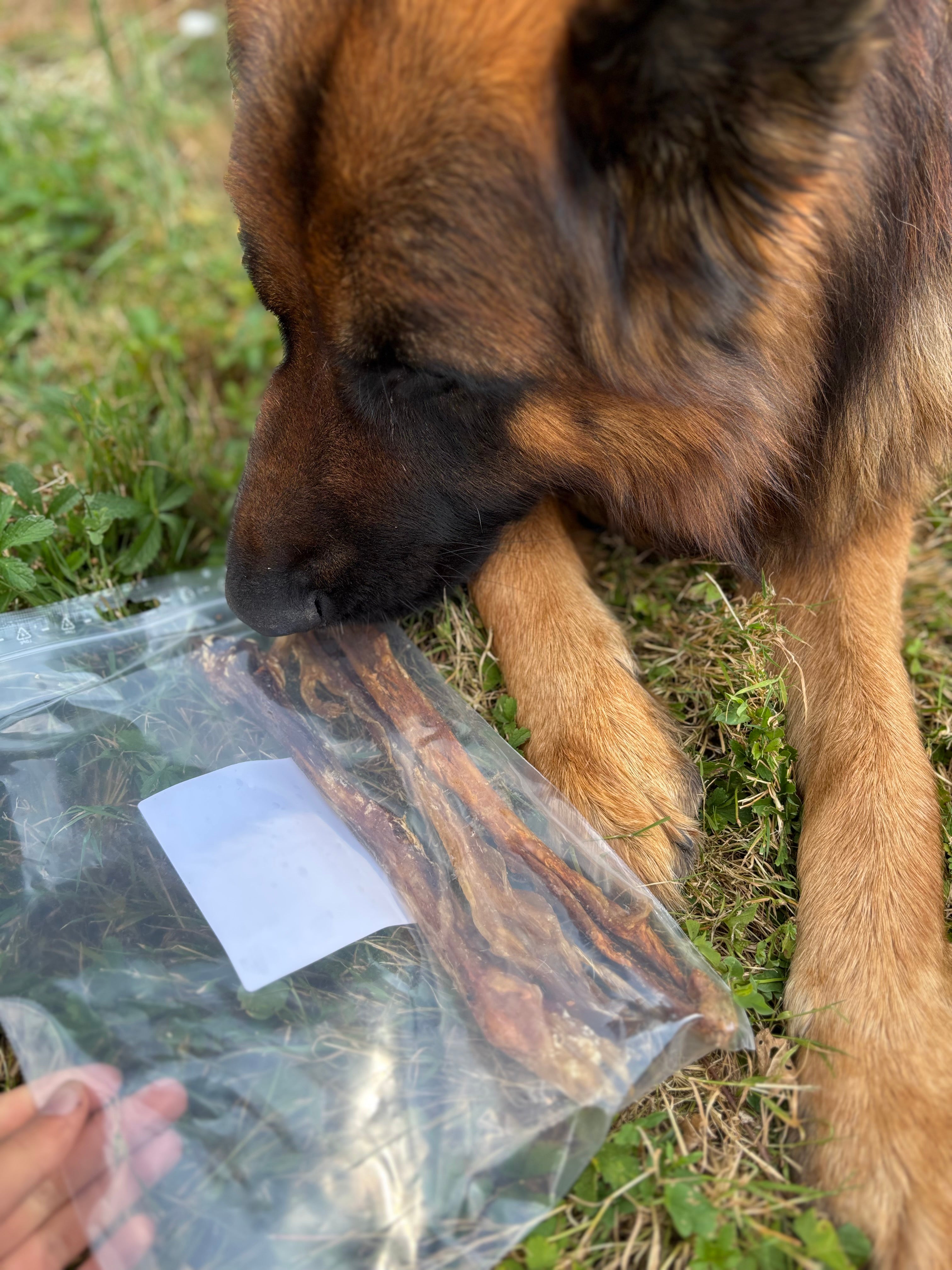 Tendons d’Achille de buffle (100g - 3 pièces)