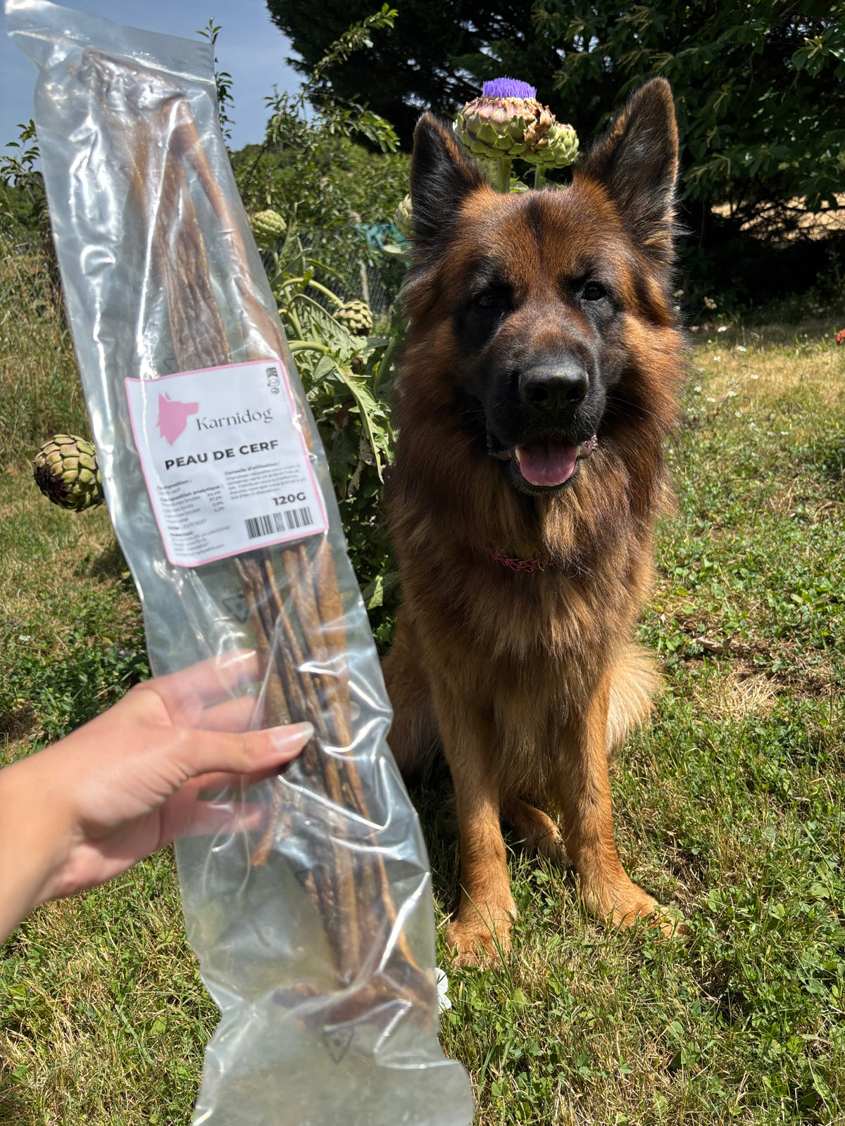 Peau de cerf XL (120g ~ 2 pièces)
