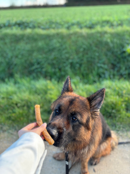 Peau de buffle roulée 15cm