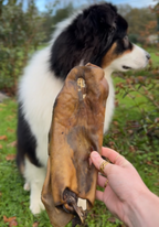 Plaque de peau de cheval