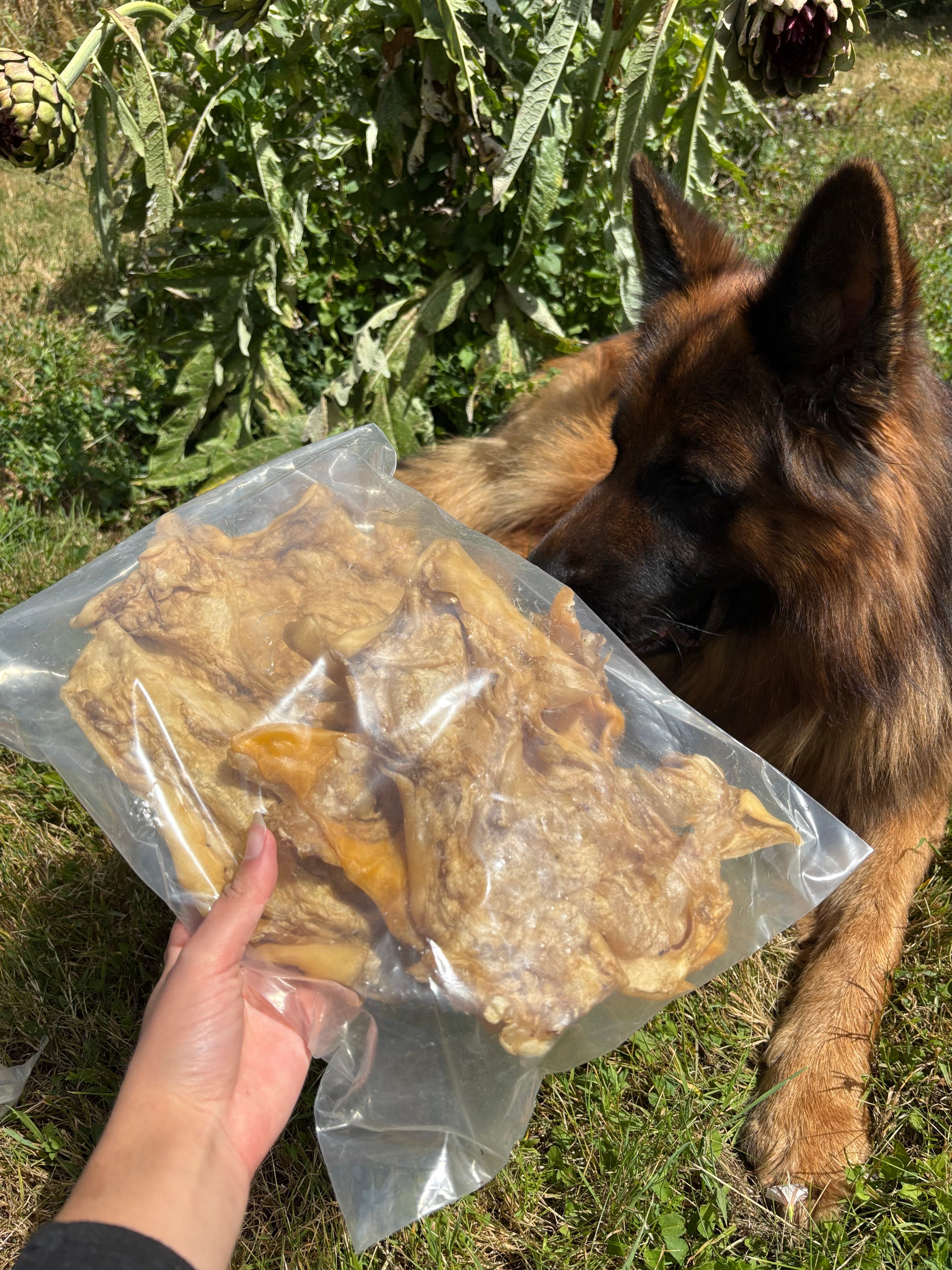 Plaques de boeuf XL (500g - 4 pièces)