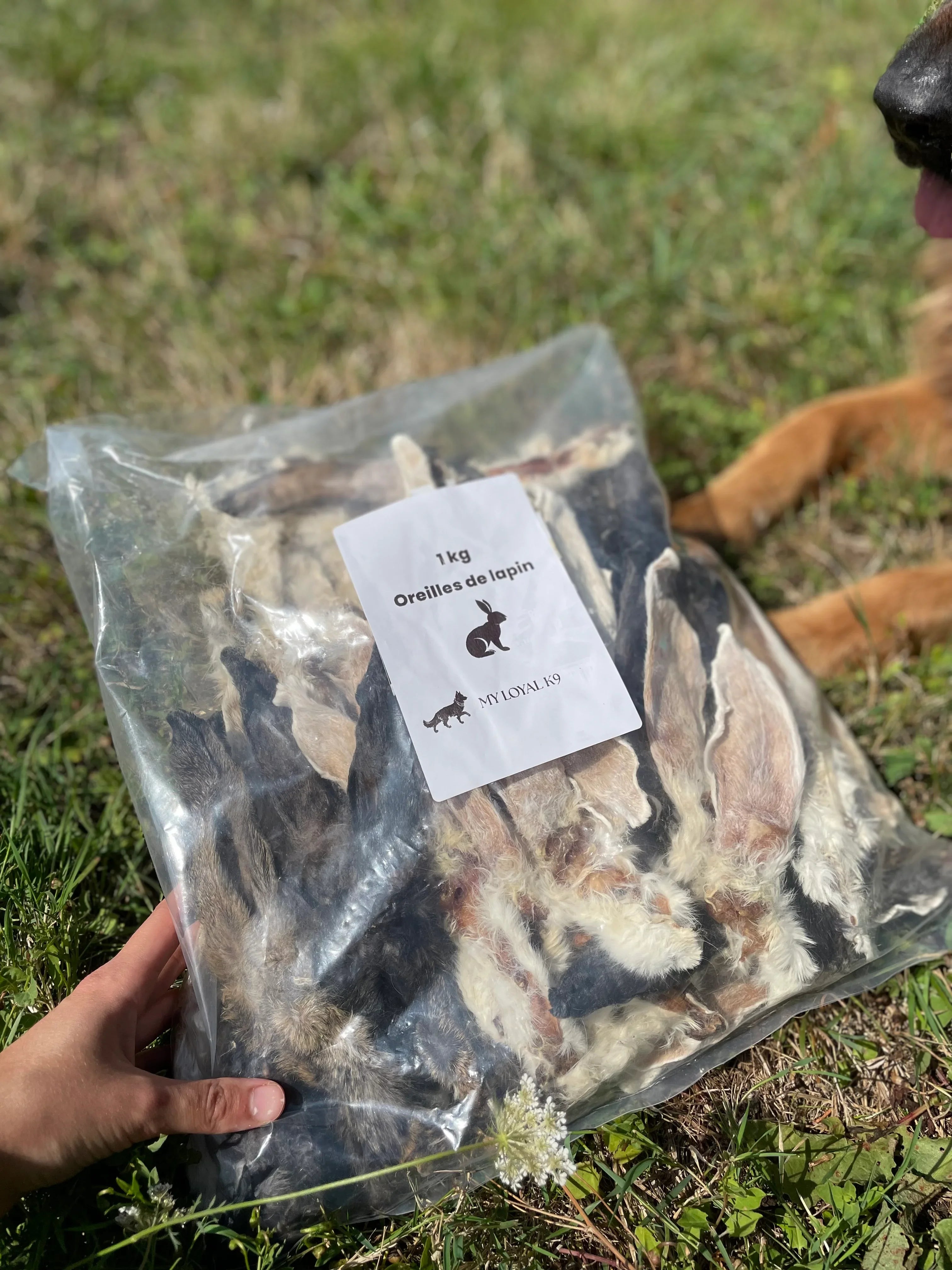 VENTE AU KILO : Oreilles de lapin avec poils