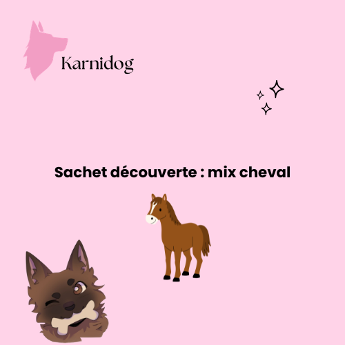 Sachet découverte : Mix cheval 🐴