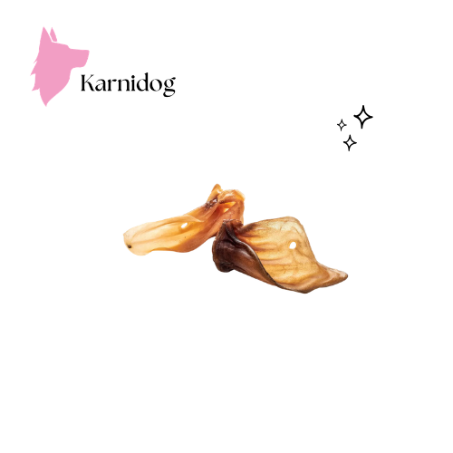Oreille de sanglier