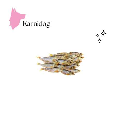 Sprats séchés