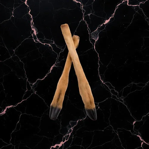 Patte de cerf avec poils