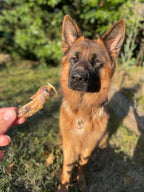 Ailes de poulet (100g)