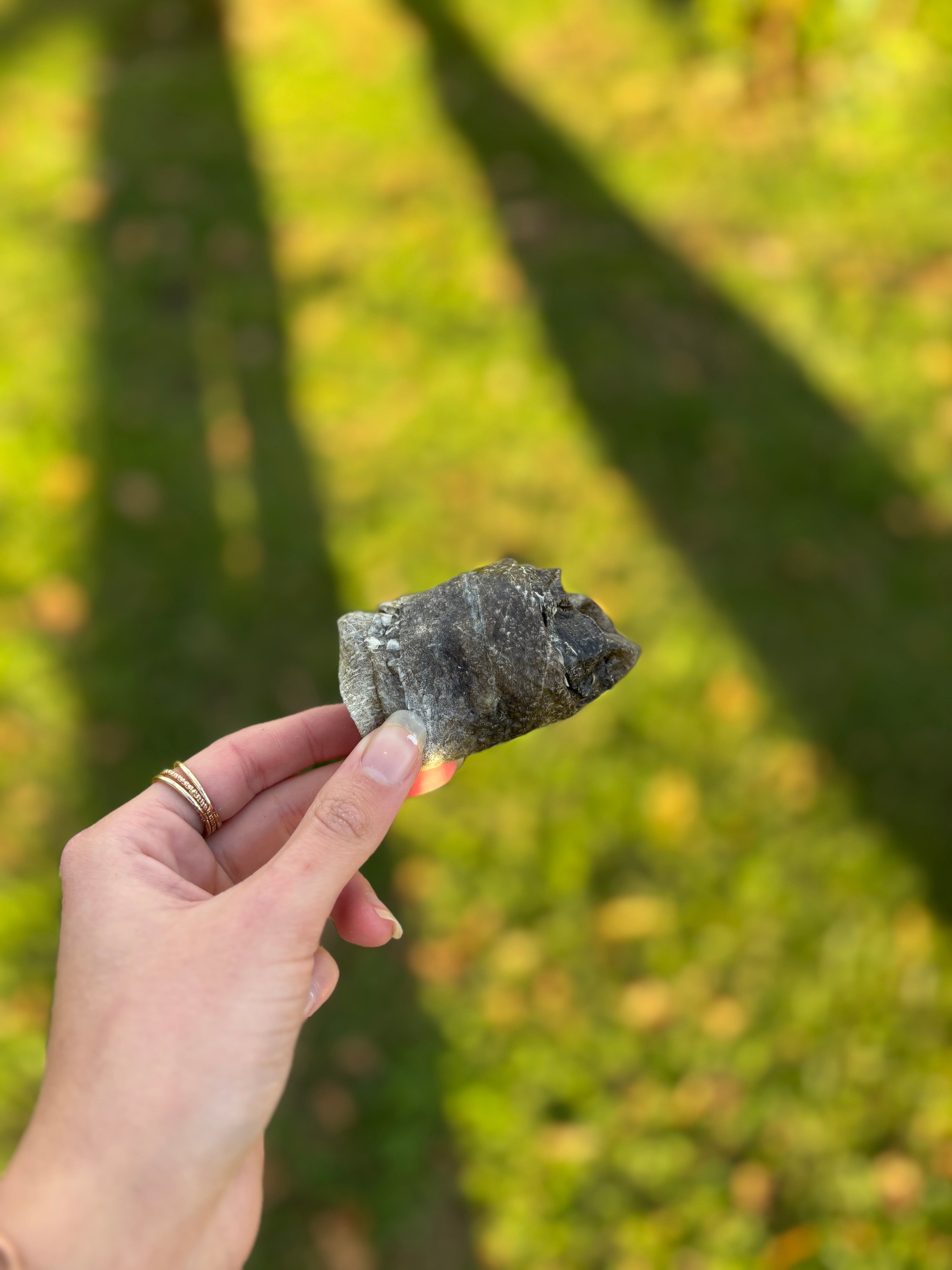 Rouleau de peau de morue