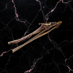 Peau de cerf XL 60 cm