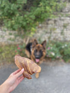 Oreille de porc à l'unité - MY LOYAL K9