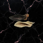 Oreille d’agneau avec poils