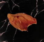 Oreille de porc (dès 1,40€ unité en lot)