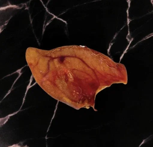 Oreille de porc (dès 1,40€ unité en lot)