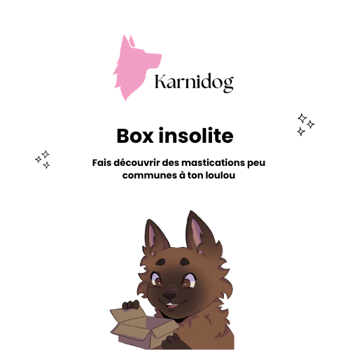 Box insolite