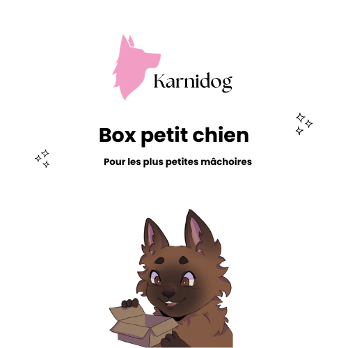 Box petit chien