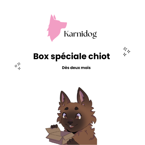 Box spéciale chiot (dès 2 mois)