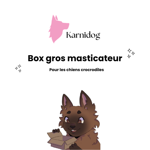 Box gros masticateur