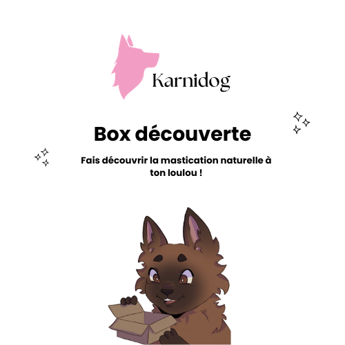Box découverte