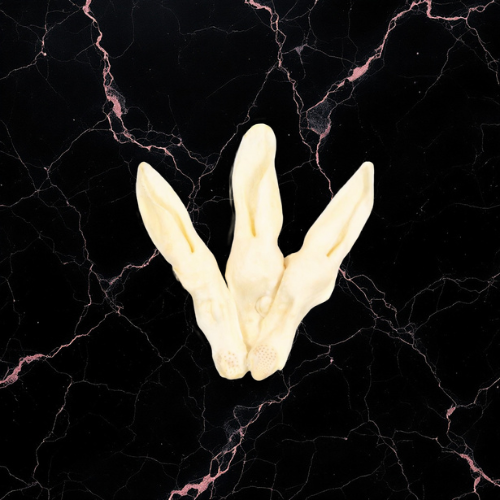 Oreille de lapin soufflée