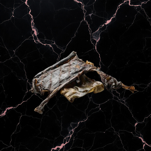 Plaque de peau de cheval